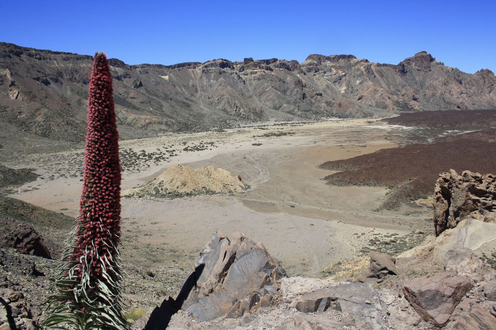 Imagen de la diapositiva