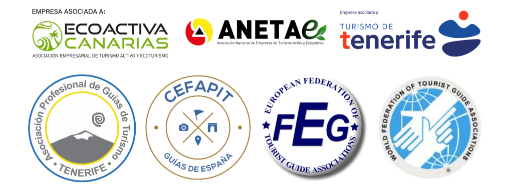 Logotipos de asociaciones de turismo activo, ecoturismo y guias de turismo como turismo de tenerife, cefapit, aneta, ecoactiva canarias