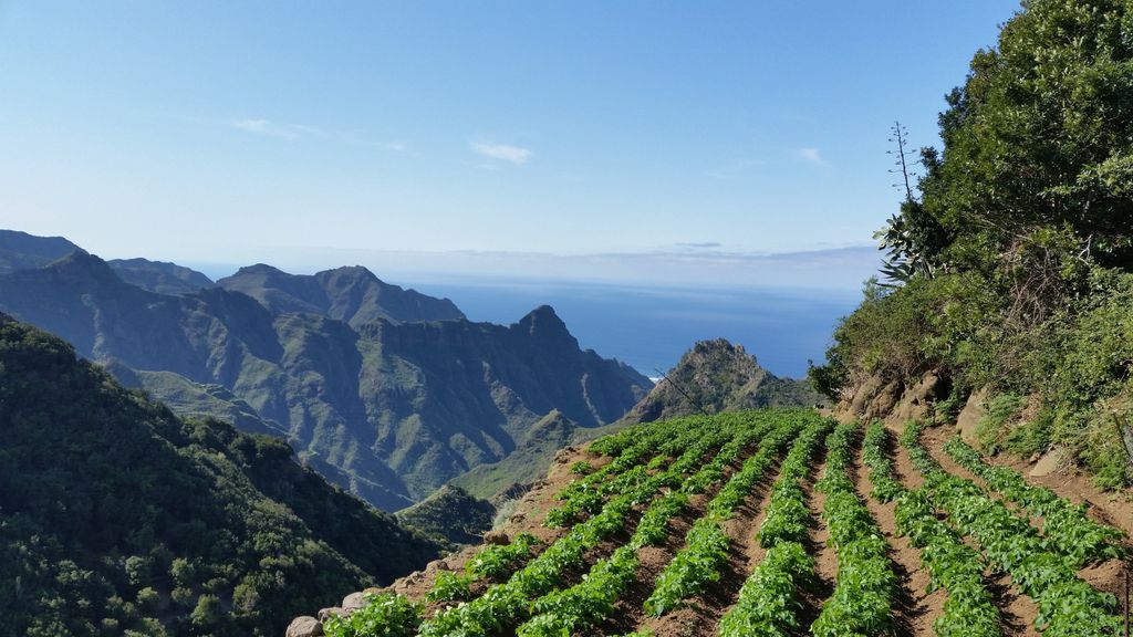 Imagen de la diapositiva