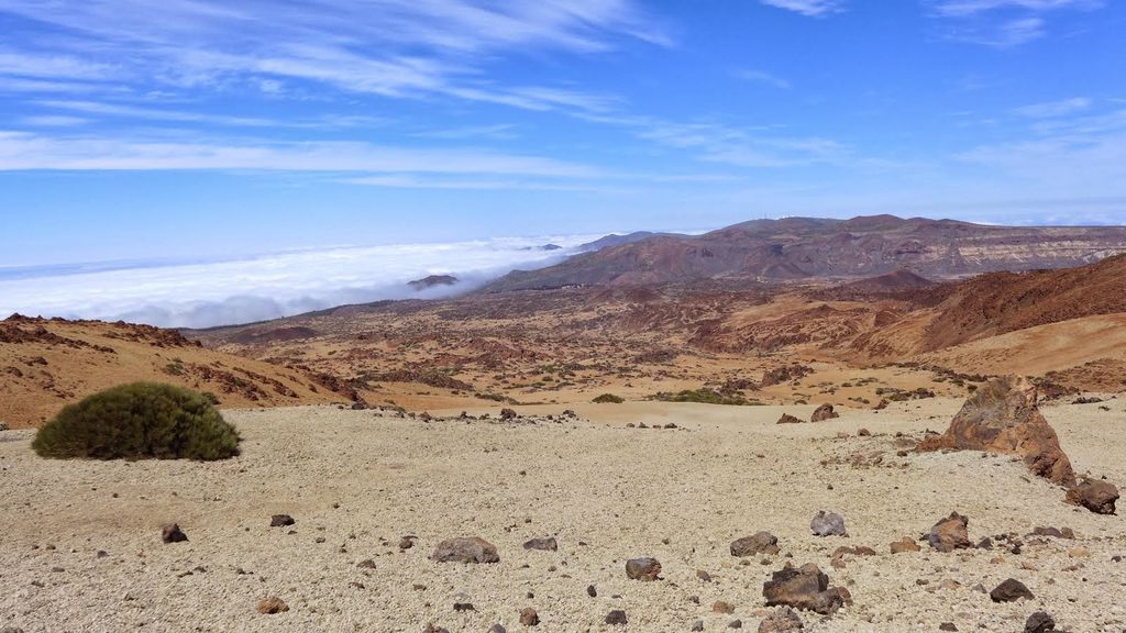 Imagen de la diapositiva