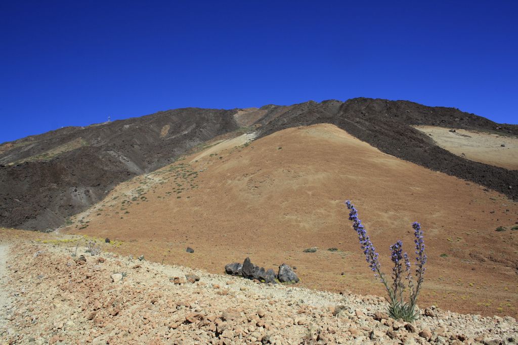 Imagen de la diapositiva