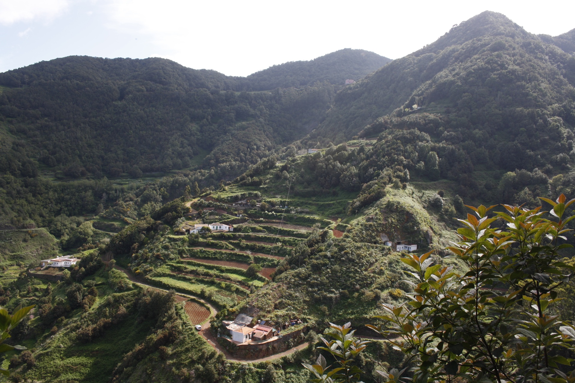 Imagen de la diapositiva