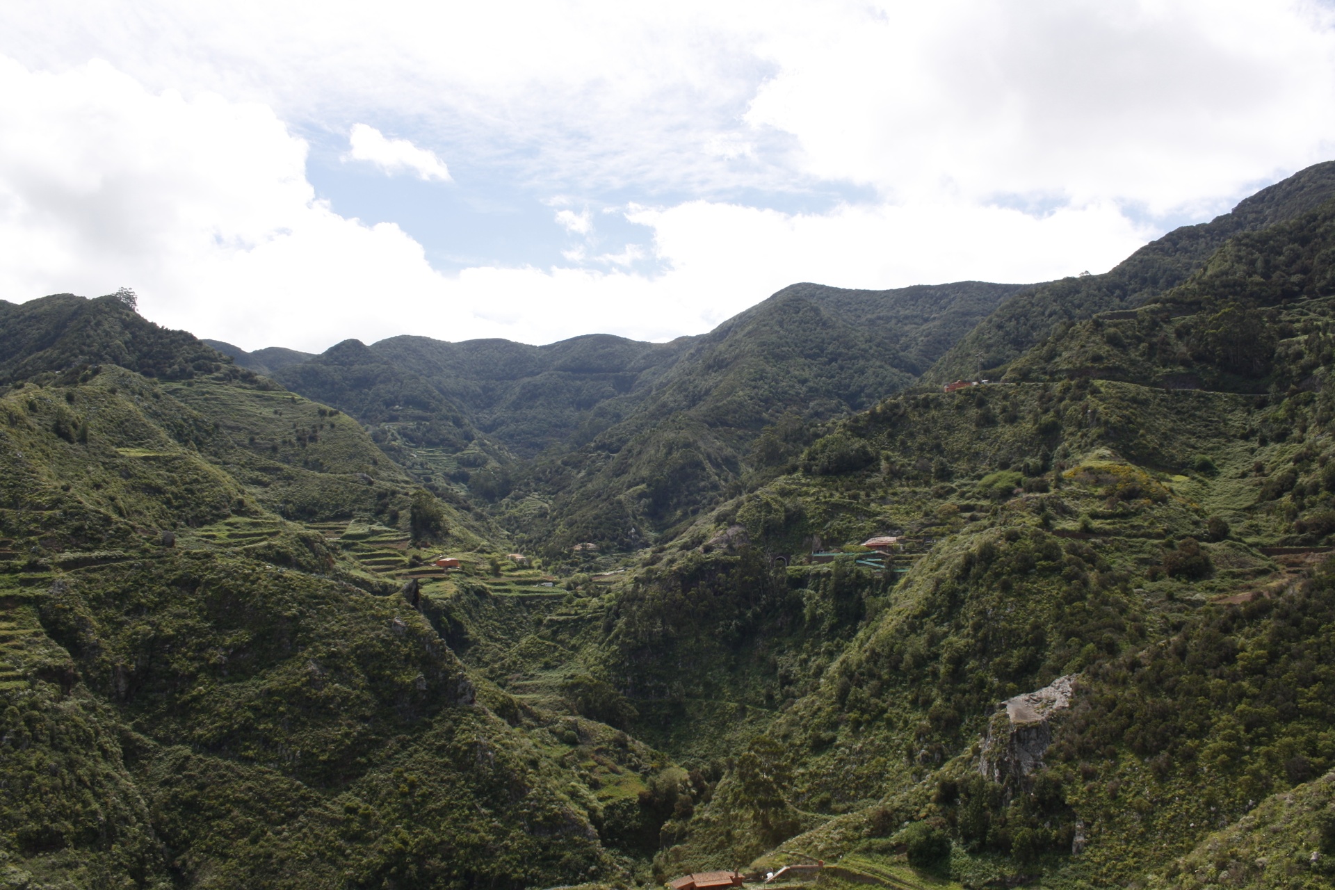 Imagen de la diapositiva