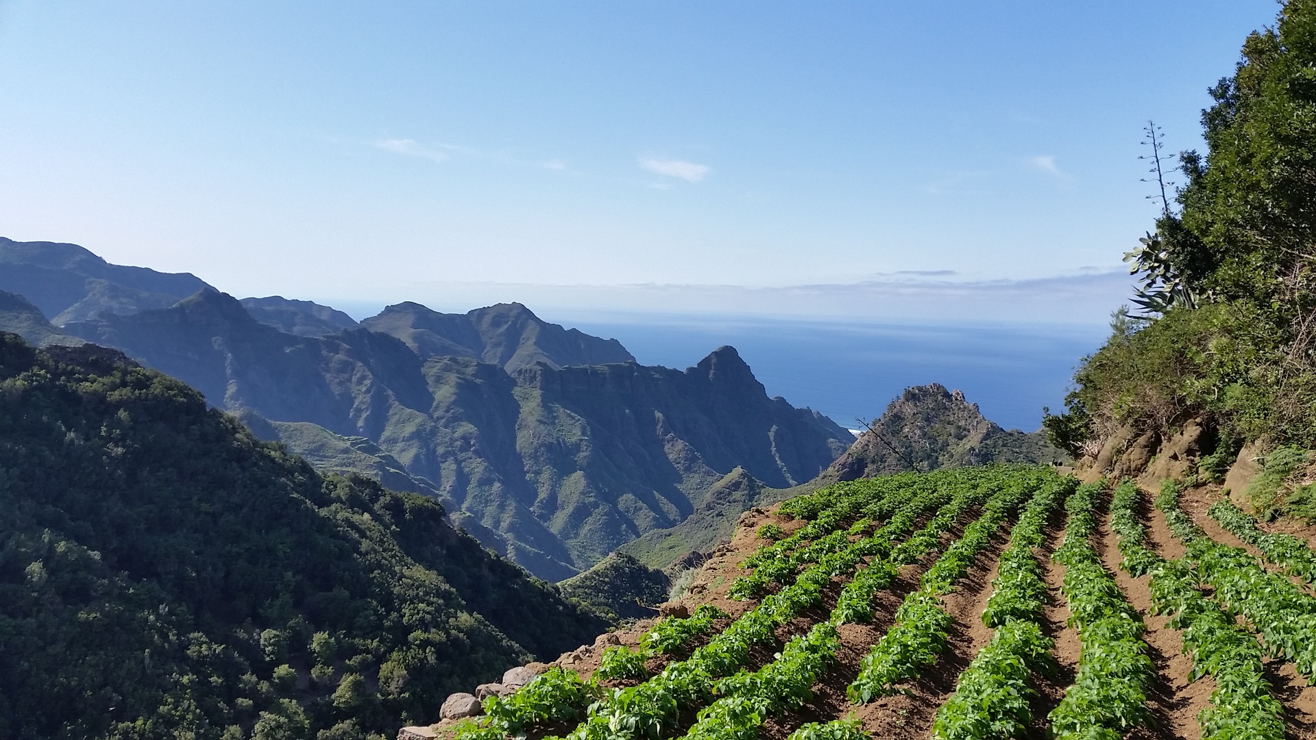 Imagen de la diapositiva