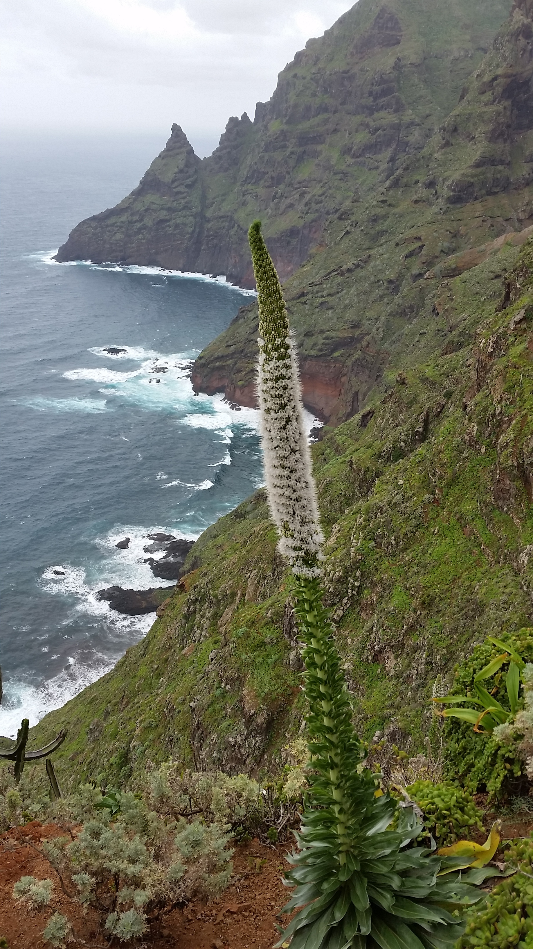 Imagen de la diapositiva
