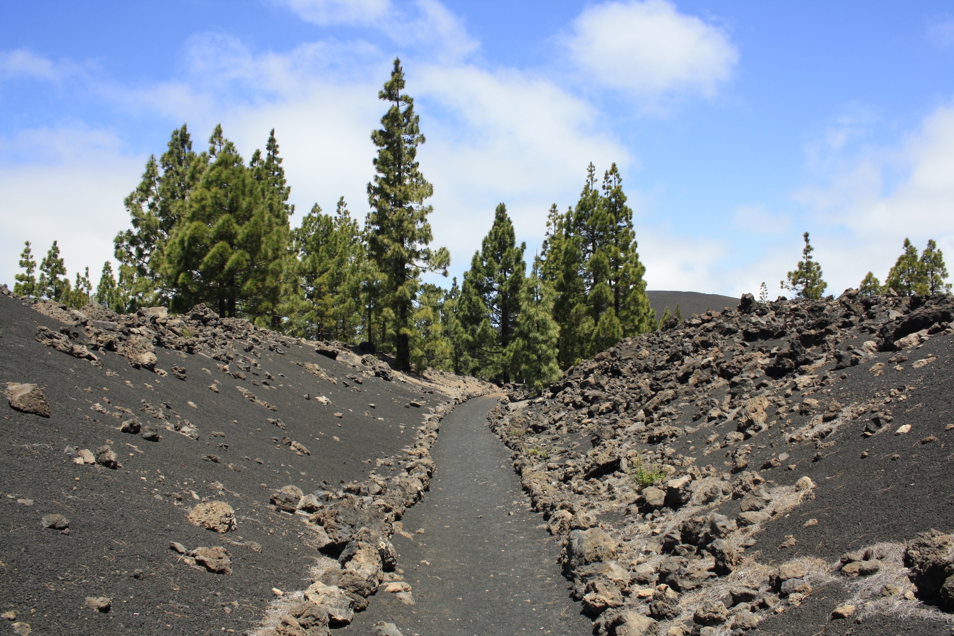 Imagen de la diapositiva