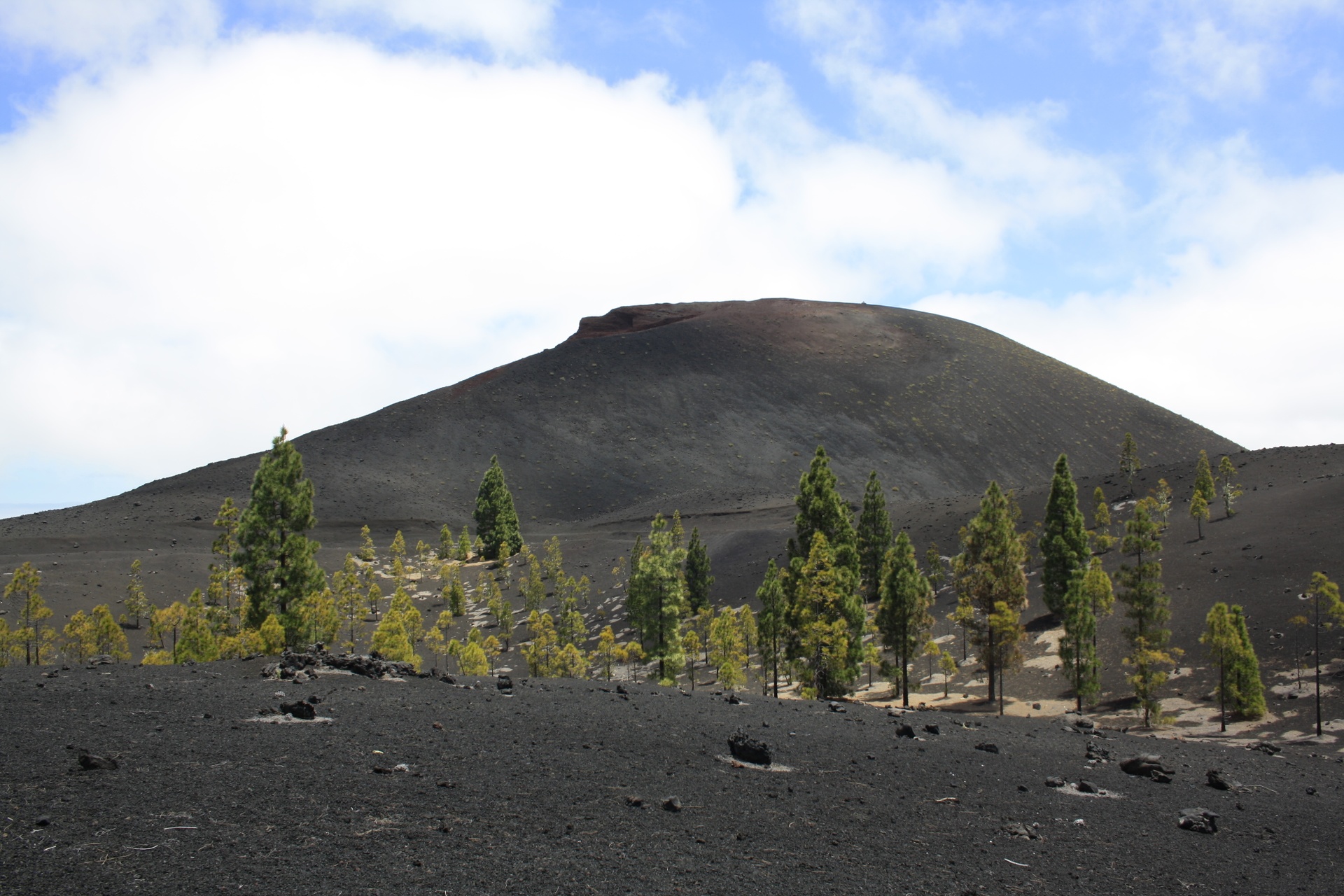 Imagen de la diapositiva