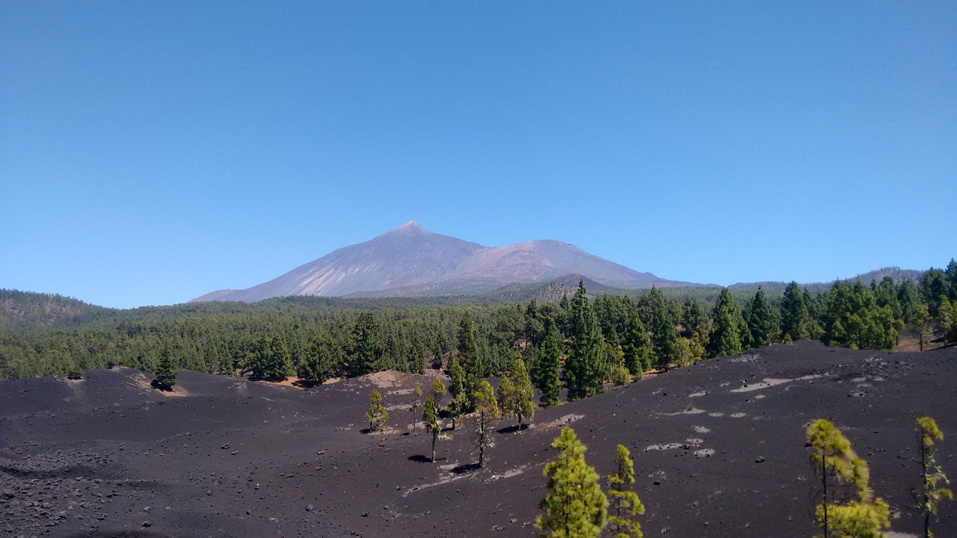 Imagen de la diapositiva