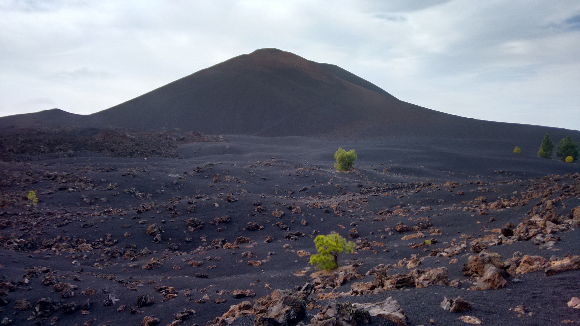 Imagen de la diapositiva