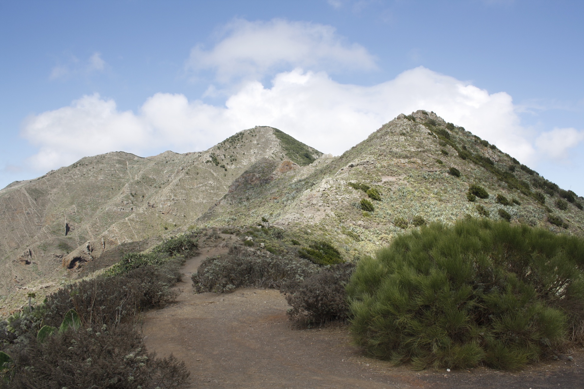 Imagen de la diapositiva