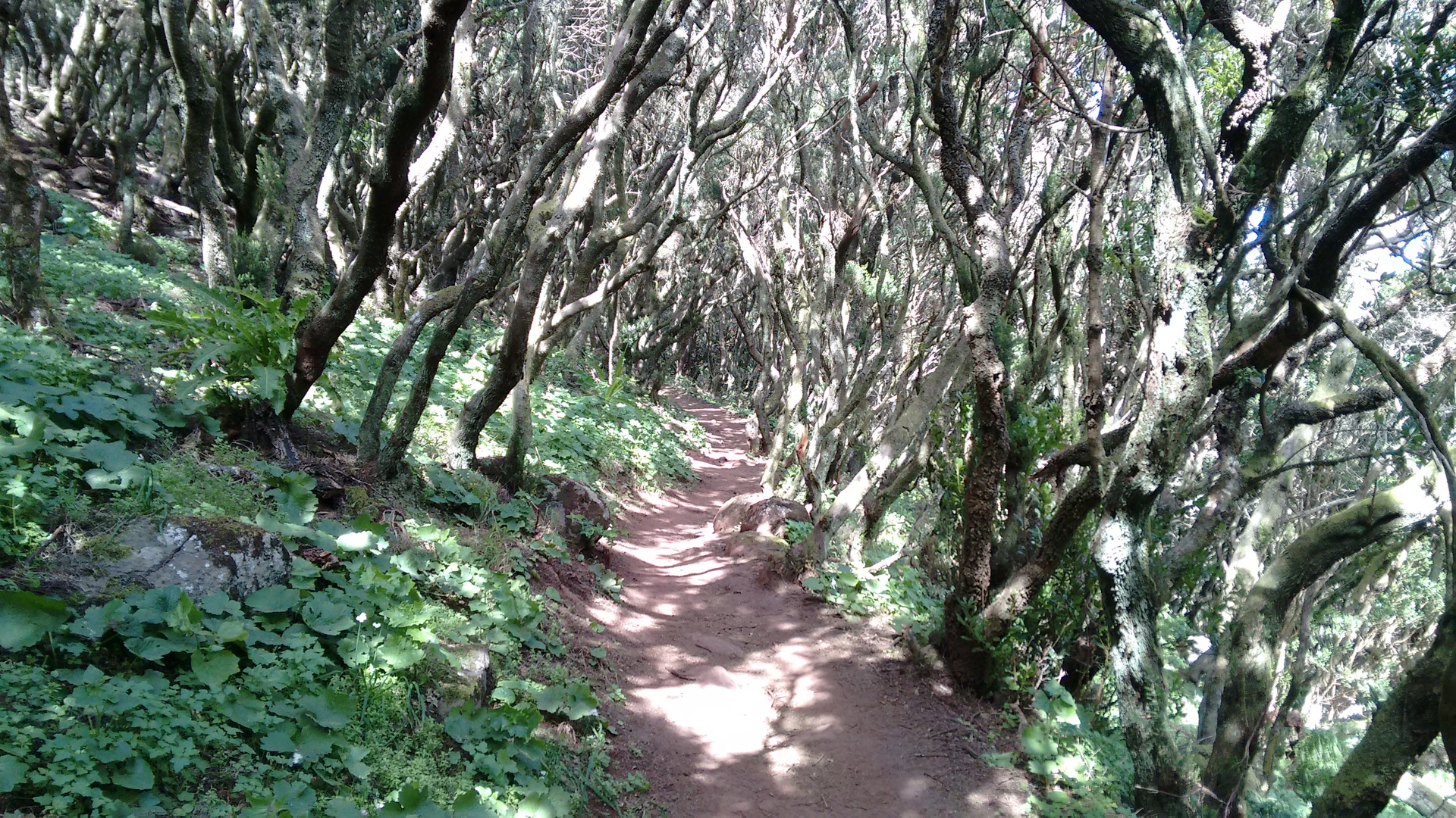 Imagen de la diapositiva