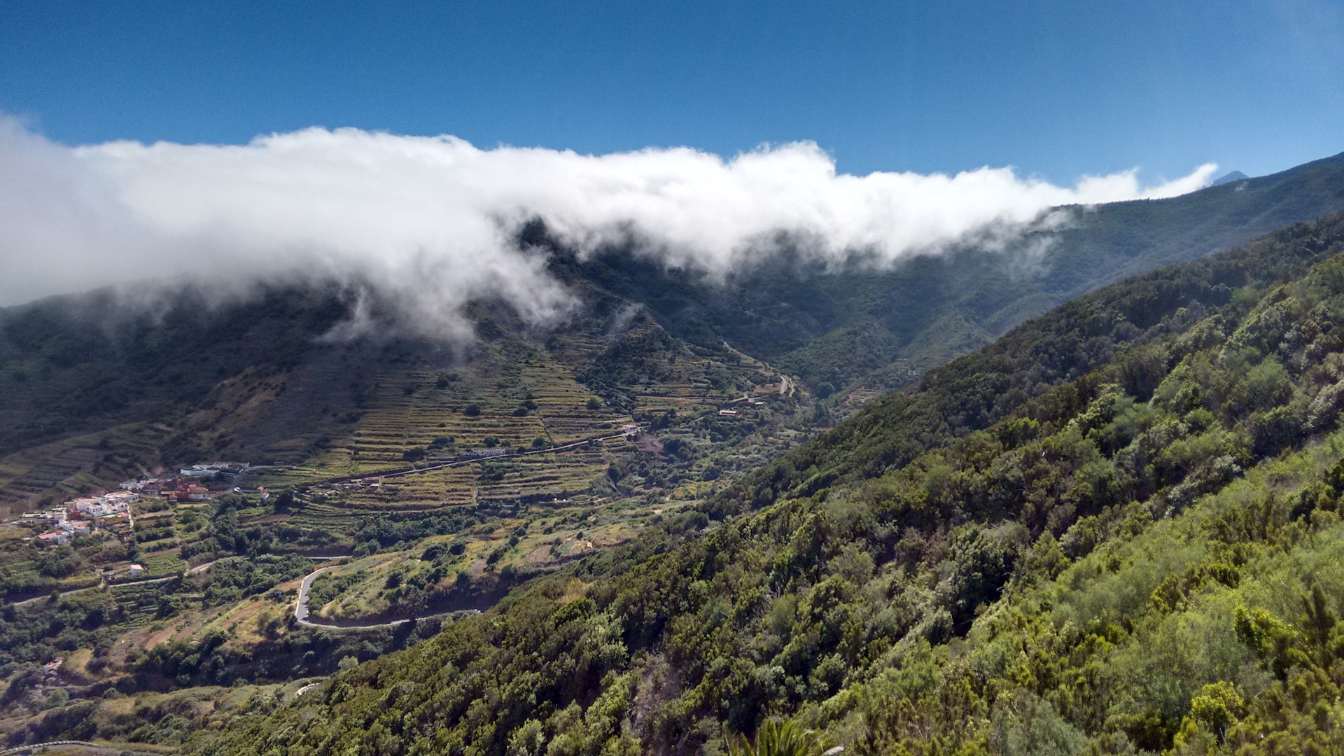 Imagen de la diapositiva