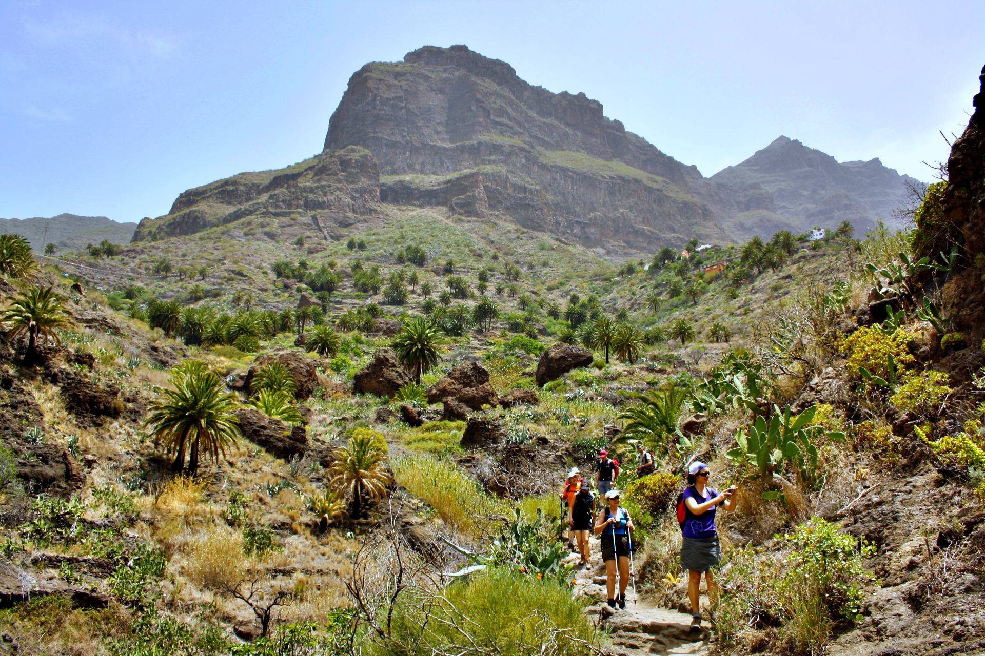 Imagen de la diapositiva