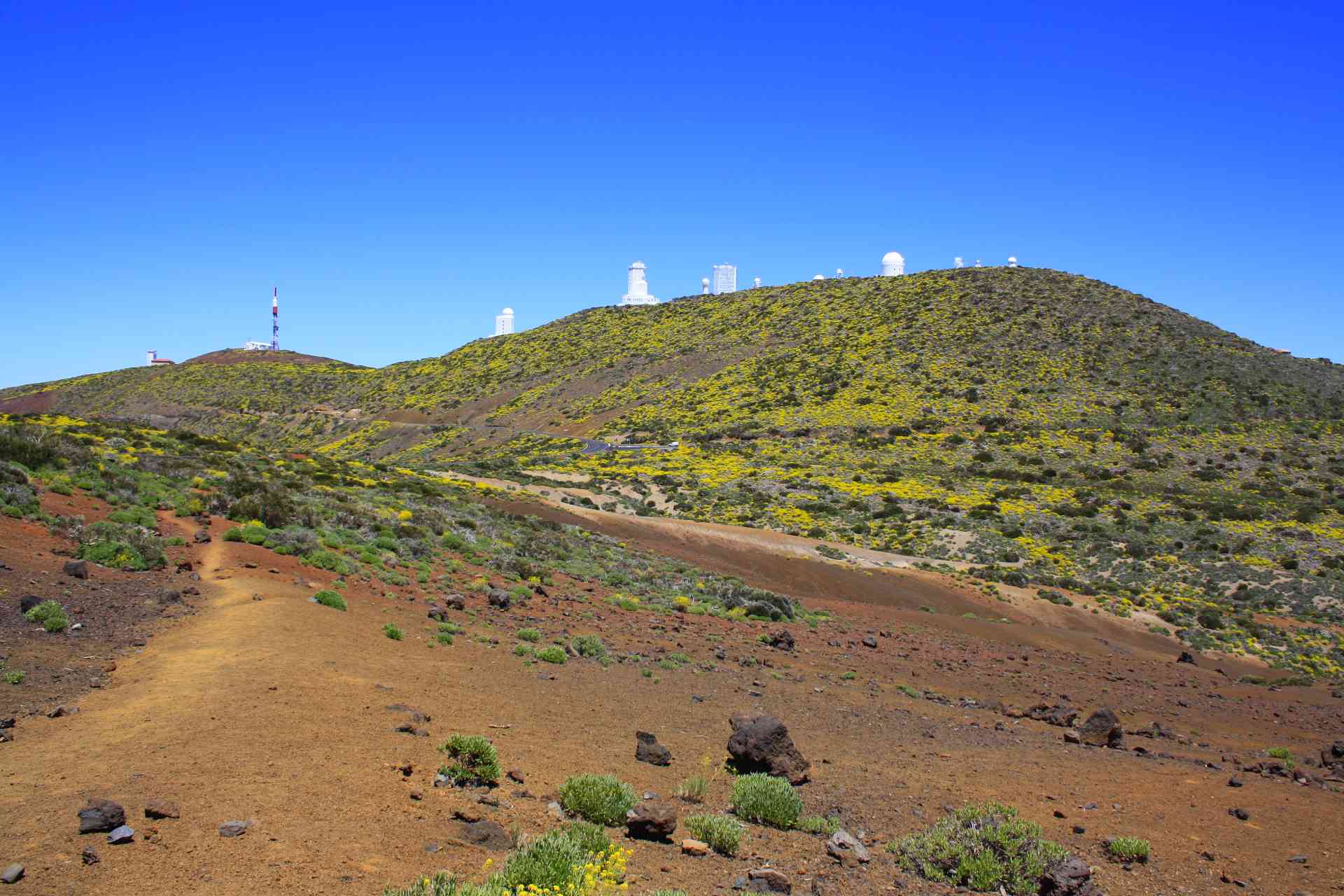 Imagen de la diapositiva