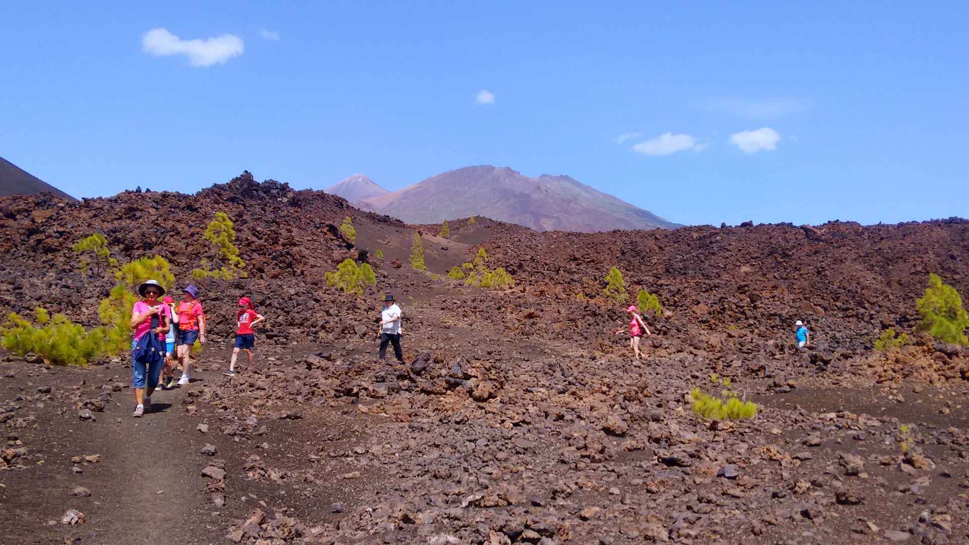 Imagen de la diapositiva