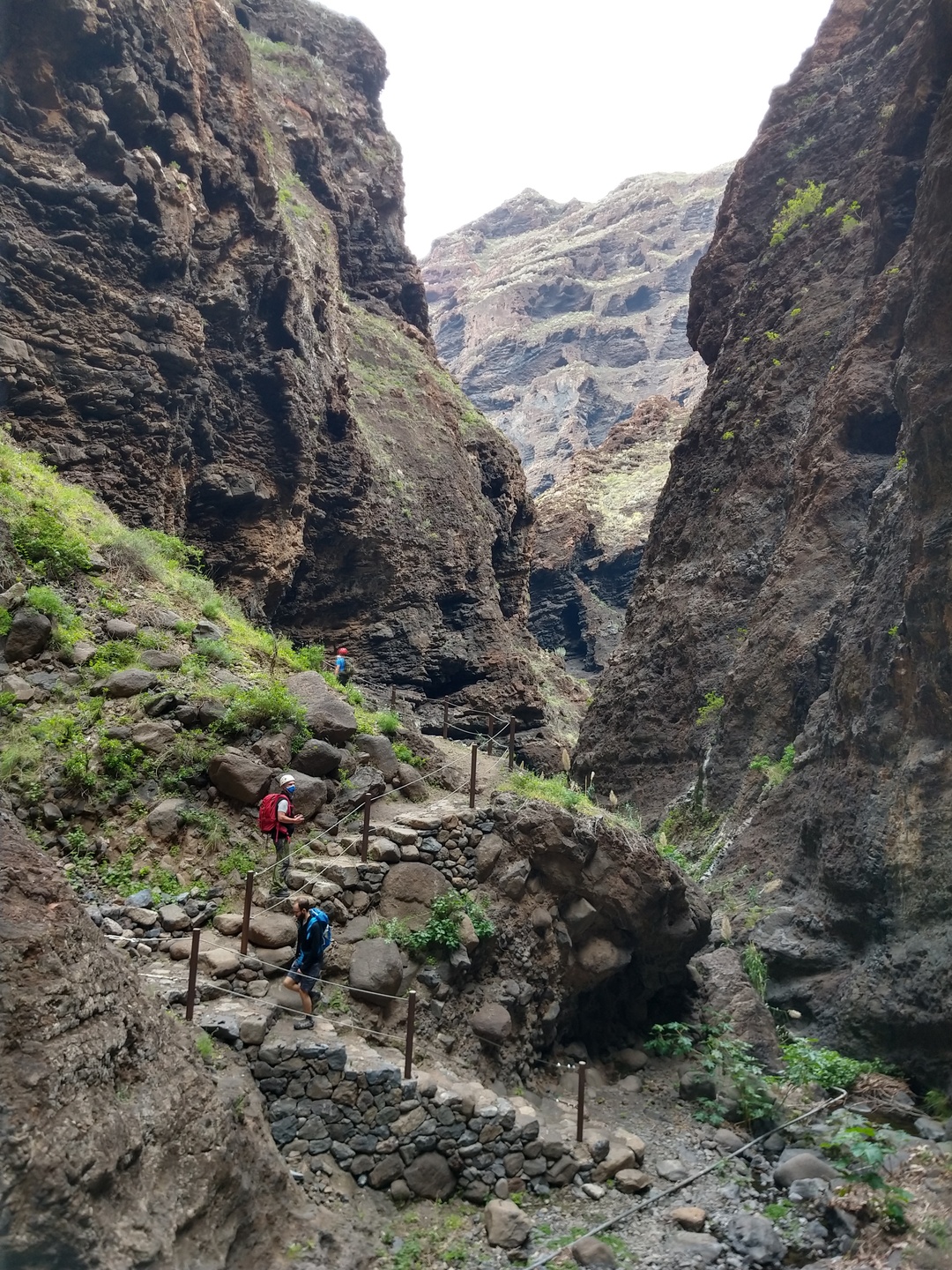 Imagen de la diapositiva