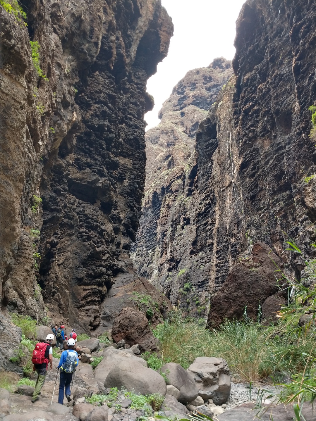 Imagen de la diapositiva