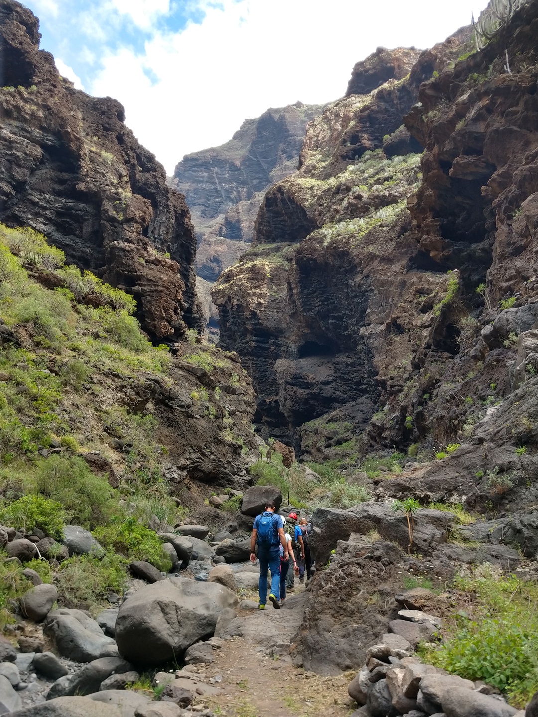 Imagen de la diapositiva