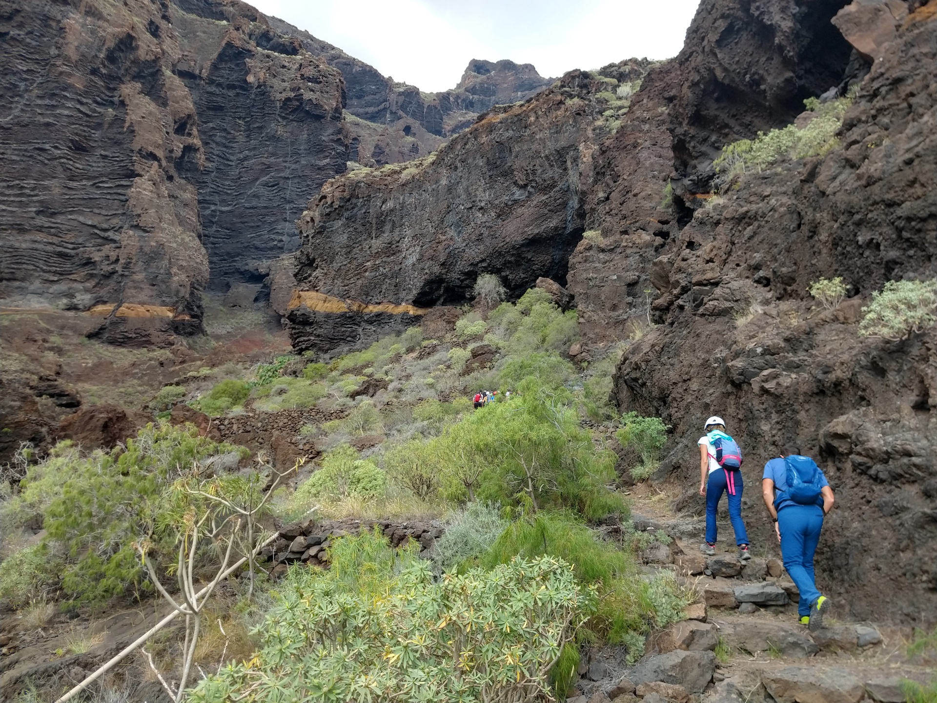 Imagen de la diapositiva