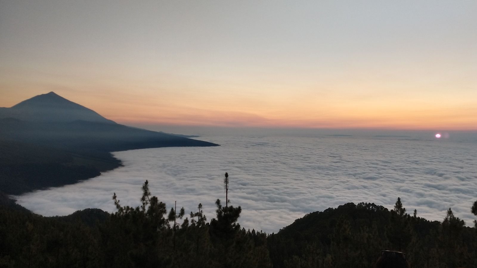 Imagen de la diapositiva