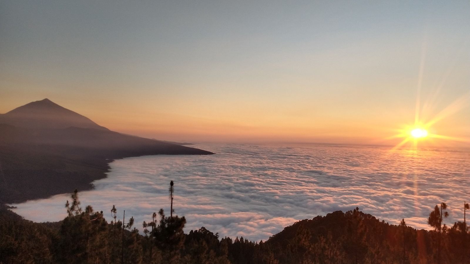 Imagen de la diapositiva