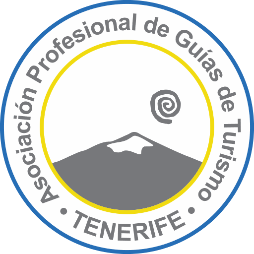 Logo APIT Tenerife